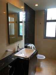 Residences @ Evelyn (D11), Condominium #292978251
